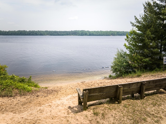 8182 Hardy Dr, Newaygo, MI 49337 - water view