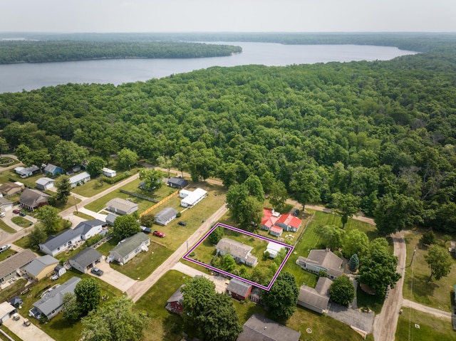 8182 Hardy Dr, Newaygo, MI 49337 - aerial overview of property's location featuring a nearby body of water and property boundaries highlighted