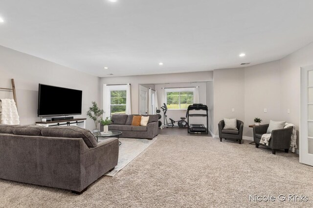 9860 Button Rd, Belding, MI 48809