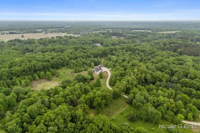 9860 Button Rd, Belding, MI 48809