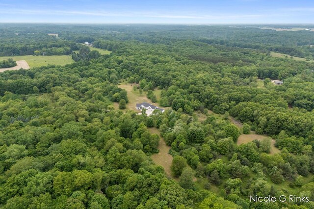 9860 Button Rd, Belding, MI 48809