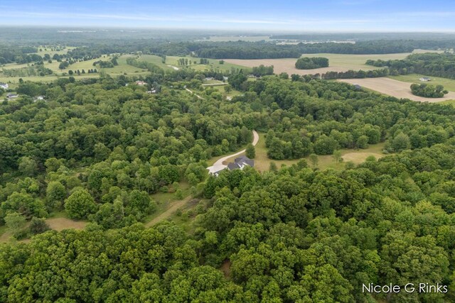9860 Button Rd, Belding, MI 48809