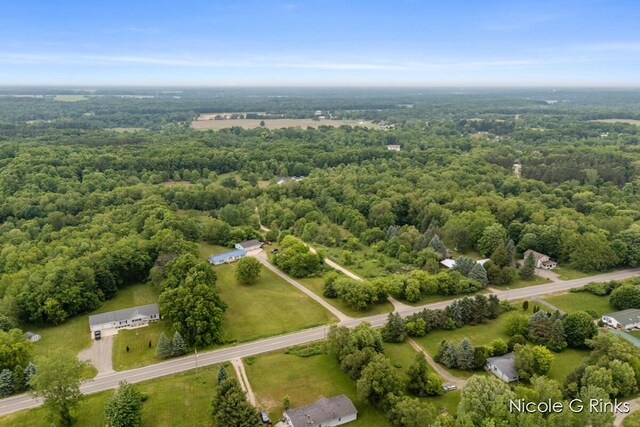 9860 Button Rd, Belding, MI 48809