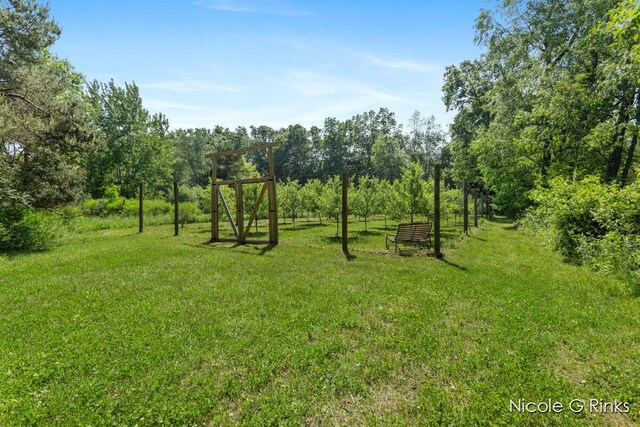 9860 Button Rd, Belding, MI 48809