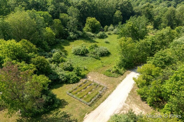9860 Button Rd, Belding, MI 48809