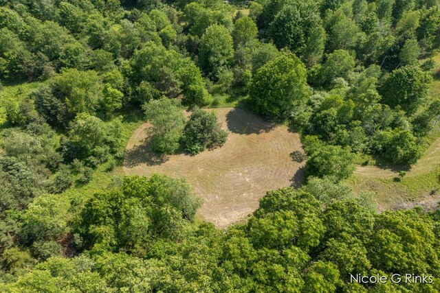 9860 Button Rd, Belding, MI 48809
