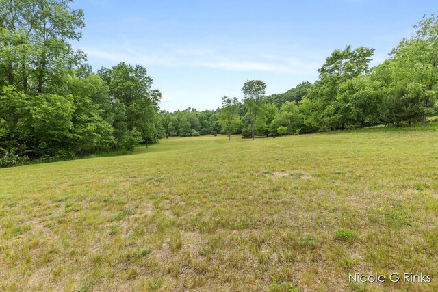 9860 Button Rd, Belding, MI 48809