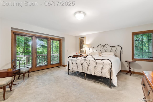 2020 Pine Hollow Trl, Brighton, MI 48114 - bedroom featuring multiple windows and light carpet