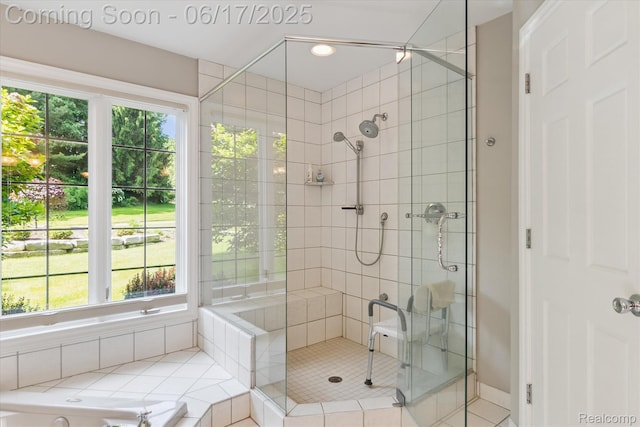 2020 Pine Hollow Trl, Brighton, MI 48114 - bathroom with a stall shower, plenty of natural light, and a tub to relax in