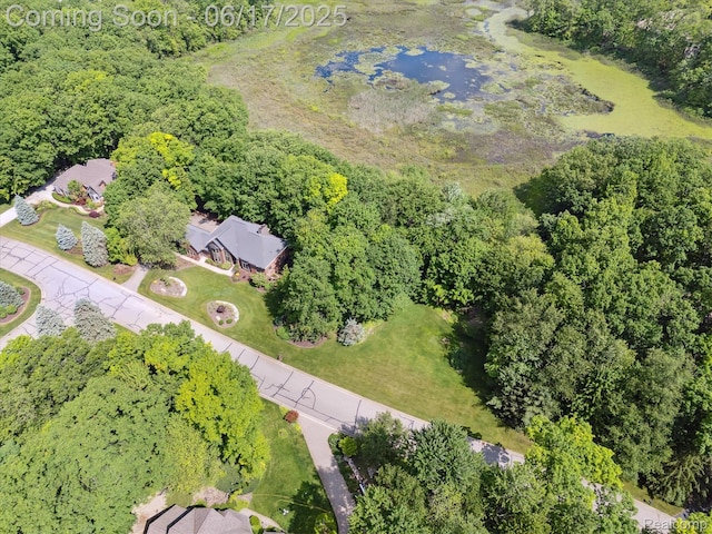 2020 Pine Hollow Trl, Brighton, MI 48114 - view of property location featuring a forest and a nearby body of water