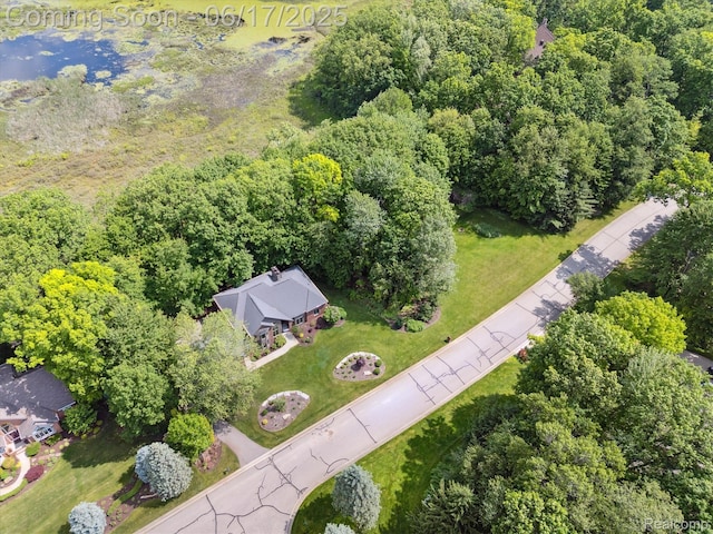 2020 Pine Hollow Trl, Brighton, MI 48114 - aerial view of property's location
