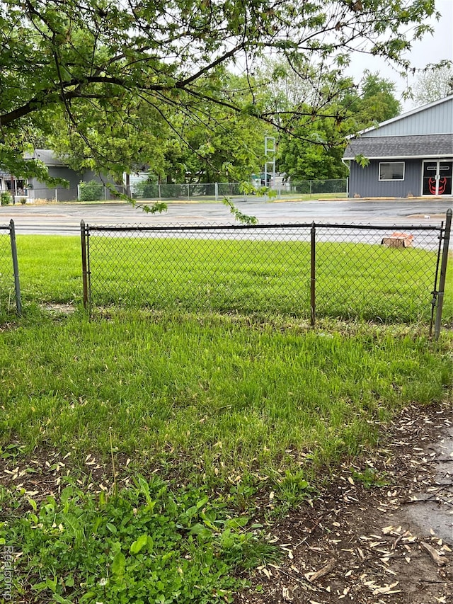4172 Fenton Rd, Flint, MI 48507 - view of yard