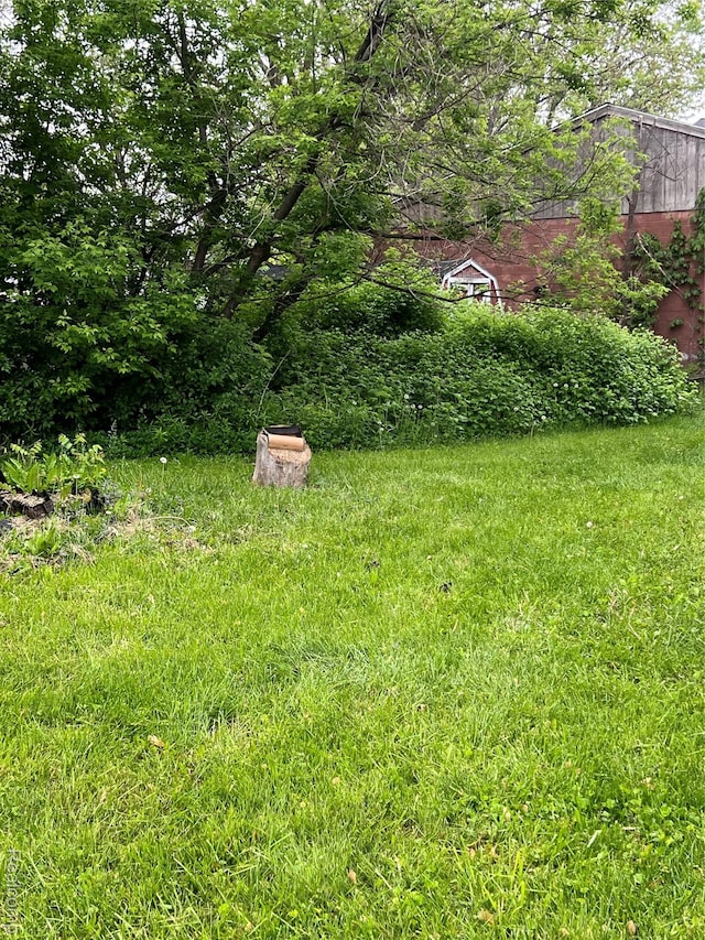 4172 Fenton Rd, Flint, MI 48507 - view of yard