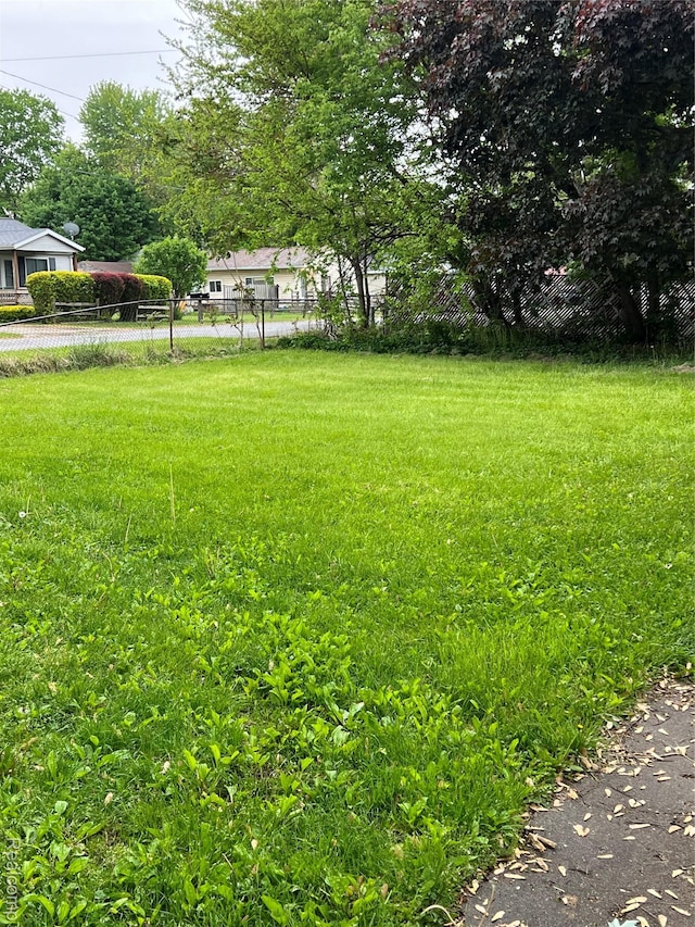 4172 Fenton Rd, Flint, MI 48507 - view of yard
