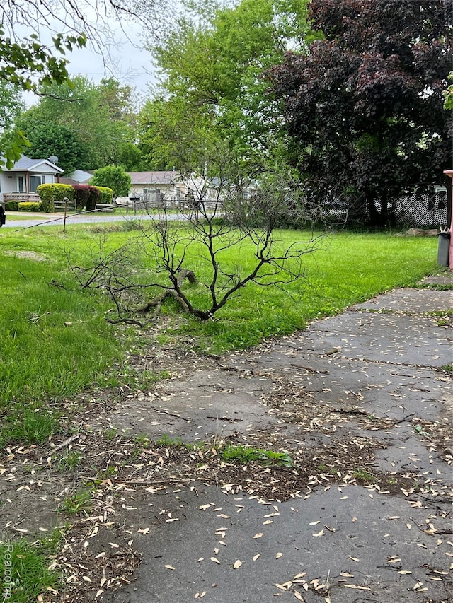 4172 Fenton Rd, Flint, MI 48507 - view of yard