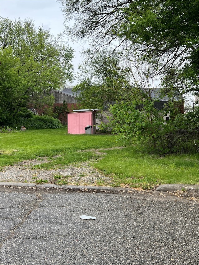 4172 Fenton Rd, Flint, MI 48507 - view of yard