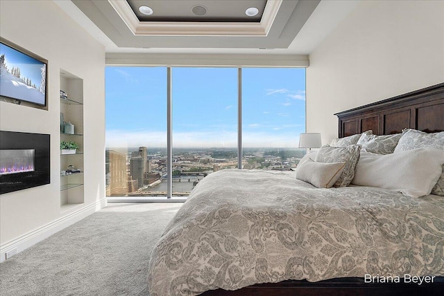 335 Bridge St NW Unit 3102, Grand Rapids, MI 49504 - bedroom featuring carpet, a raised ceiling, a glass covered fireplace, and ornamental molding