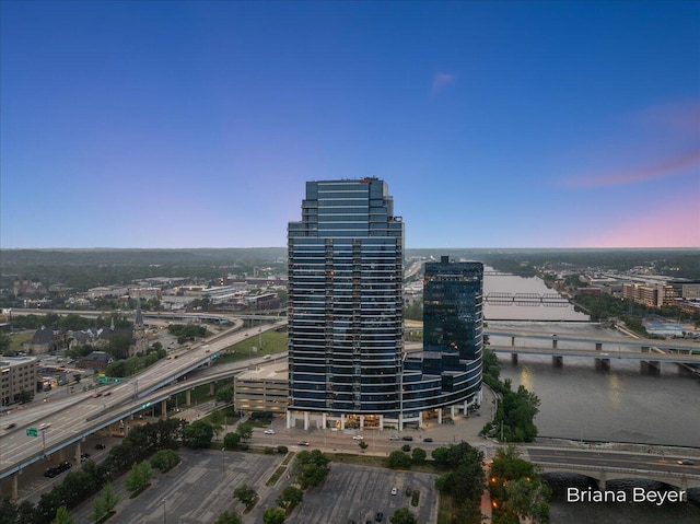 335 Bridge St NW Unit 3102, Grand Rapids, MI 49504 - view of urban area featuring a notable bridge and a large body of water