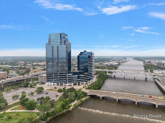 335 Bridge St NW Unit 3102, Grand Rapids, MI 49504 - view of urban area with a notable bridge and a nearby body of water