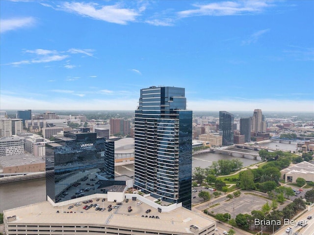 335 Bridge St NW Unit 3102, Grand Rapids, MI 49504 - view of city