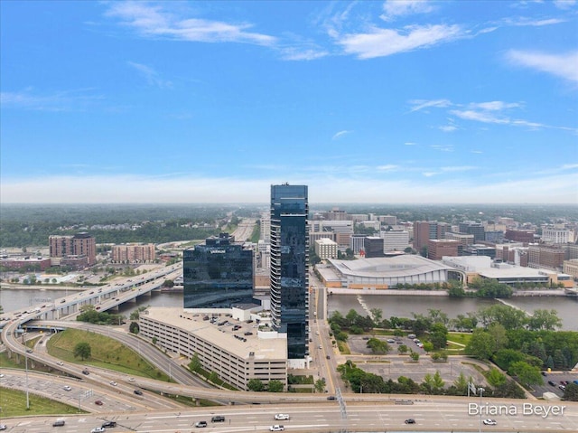 335 Bridge St NW Unit 3102, Grand Rapids, MI 49504 - city view featuring a nearby body of water and a notable bridge