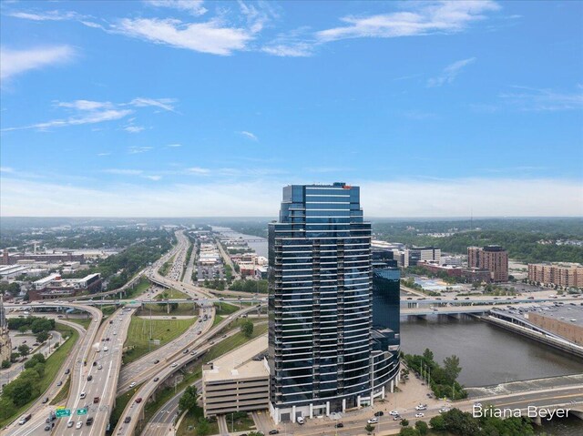 335 Bridge St NW Unit 3102, Grand Rapids, MI 49504 - view of urban area featuring a highway and a large body of water