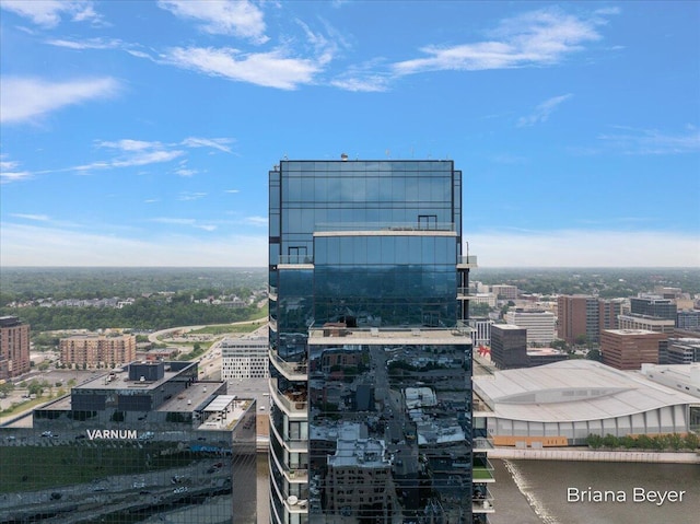 335 Bridge St NW Unit 3102, Grand Rapids, MI 49504 - view of city