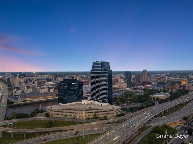 335 Bridge St NW Unit 3102, Grand Rapids, MI 49504 - view of city