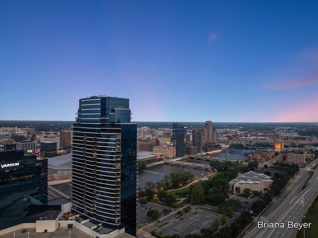 335 Bridge St NW Unit 3102, Grand Rapids, MI 49504 - view of city