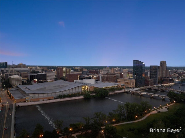 335 Bridge St NW Unit 3102, Grand Rapids, MI 49504 - view of urban area with a notable bridge and a large body of water