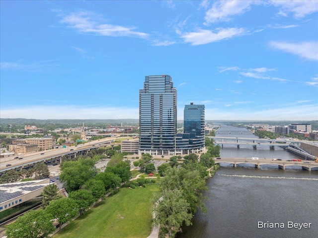 335 Bridge St NW Unit 3102, Grand Rapids, MI 49504 - view of urban area with a notable bridge and a large body of water