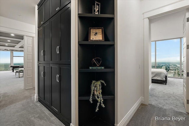 335 Bridge St NW Unit 3102, Grand Rapids, MI 49504 - corridor featuring light carpet and built in features