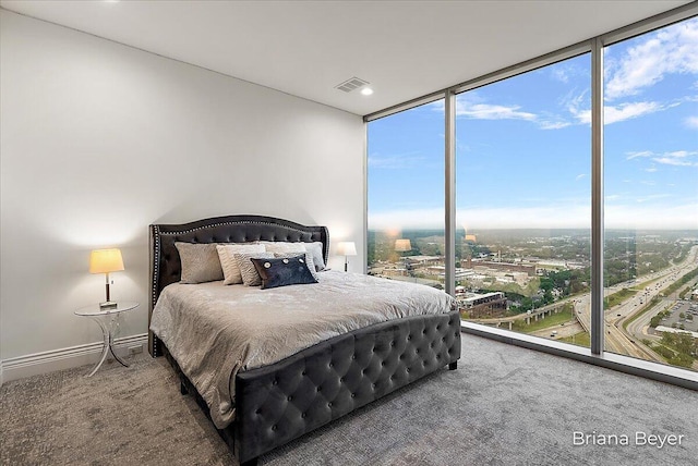 335 Bridge St NW Unit 3102, Grand Rapids, MI 49504 - bedroom featuring carpet floors and a wall of windows