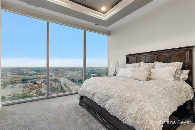 335 Bridge St NW Unit 3102, Grand Rapids, MI 49504 - bedroom featuring carpet flooring, ornamental molding, floor to ceiling windows, a raised ceiling, and a view of city