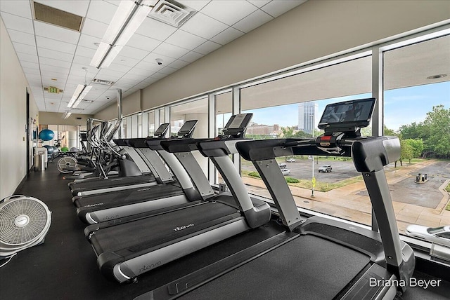 335 Bridge St NW Unit 3102, Grand Rapids, MI 49504 - gym with a drop ceiling and a city view