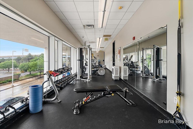 335 Bridge St NW Unit 3102, Grand Rapids, MI 49504 - exercise room with a paneled ceiling and plenty of natural light