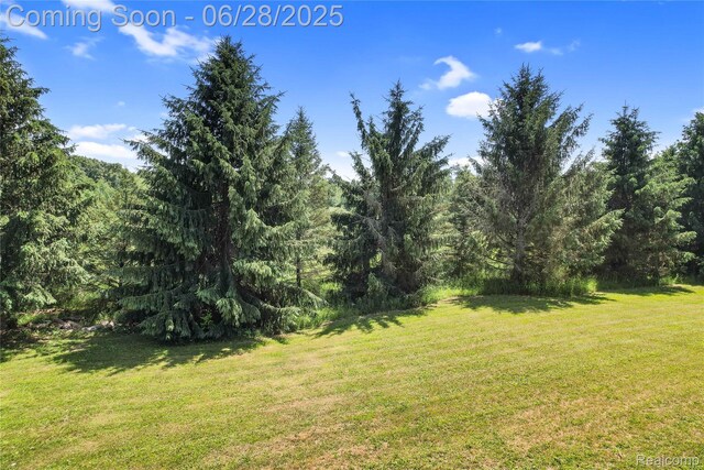 1950 E Dr S, East Leroy, MI 49051 - photo 10