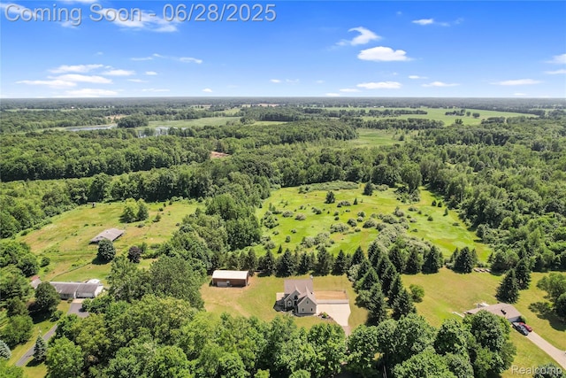 1950 E Dr S, East Leroy, MI 49051 - photo 19