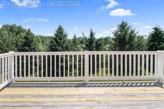 1950 E Dr S, East Leroy, MI 49051 - photo 45