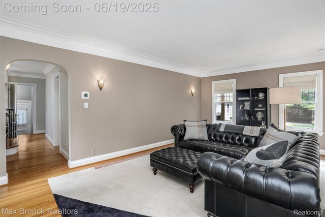 11 Sylvan Ave, Pleasant Ridge, MI 48069 - living area featuring arched walkways, healthy amount of natural light, light wood-style flooring, and ornamental molding