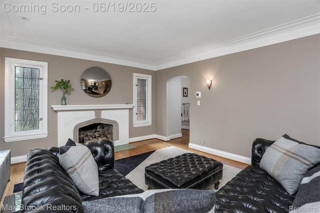 11 Sylvan Ave, Pleasant Ridge, MI 48069 - living area featuring arched walkways, ornamental molding, wood finished floors, a high end fireplace, and radiator