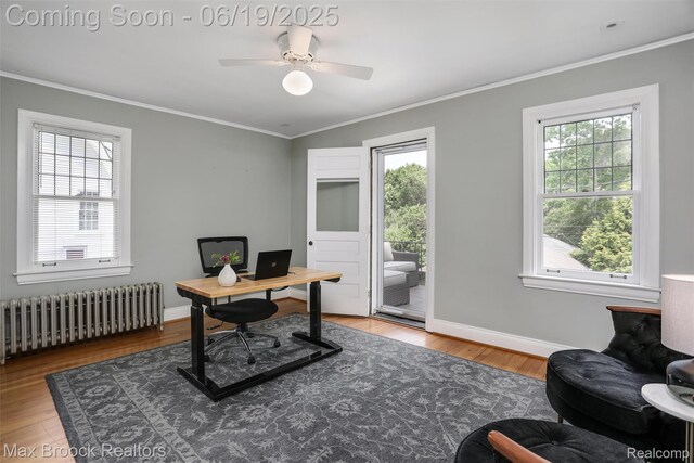 11 Sylvan Ave, Pleasant Ridge, MI 48069 - office with radiator heating unit, ornamental molding, wood finished floors, and a ceiling fan