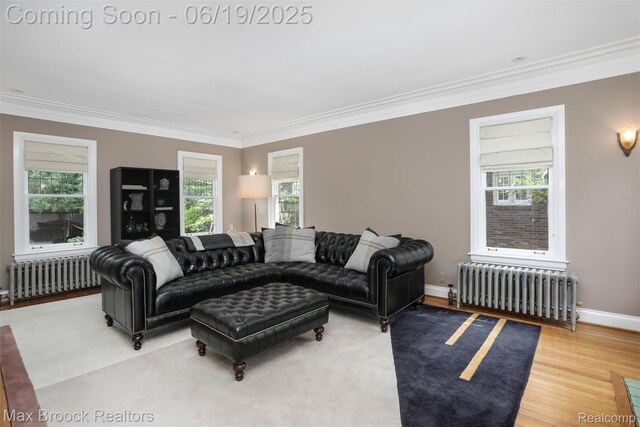 11 Sylvan Ave, Pleasant Ridge, MI 48069 - living room featuring radiator heating unit, ornamental molding, and healthy amount of natural light