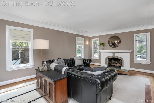 11 Sylvan Ave, Pleasant Ridge, MI 48069 - living room featuring light wood-type flooring, healthy amount of natural light, a high end fireplace, and crown molding