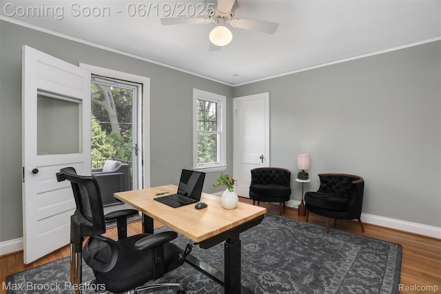 11 Sylvan Ave, Pleasant Ridge, MI 48069 - home office with ornamental molding, ceiling fan, and wood finished floors