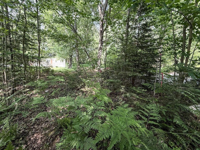 7671 S 27th Rd, Cadillac, MI 49601 - view of wooded area