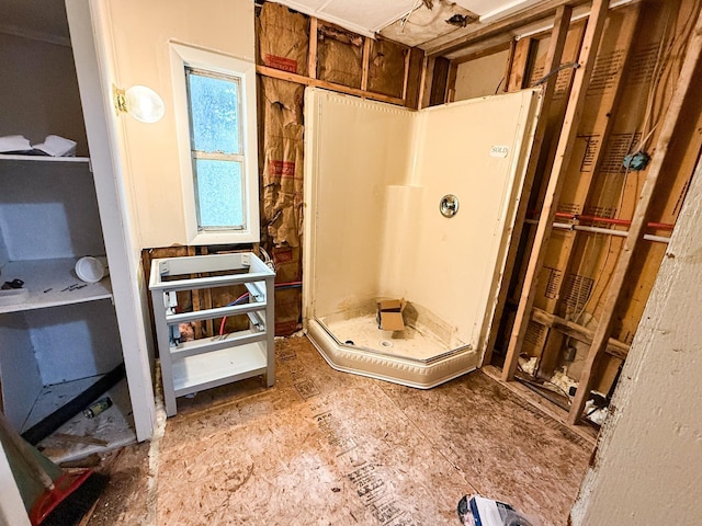 7671 S 27th Rd, Cadillac, MI 49601 - bathroom featuring a shower stall