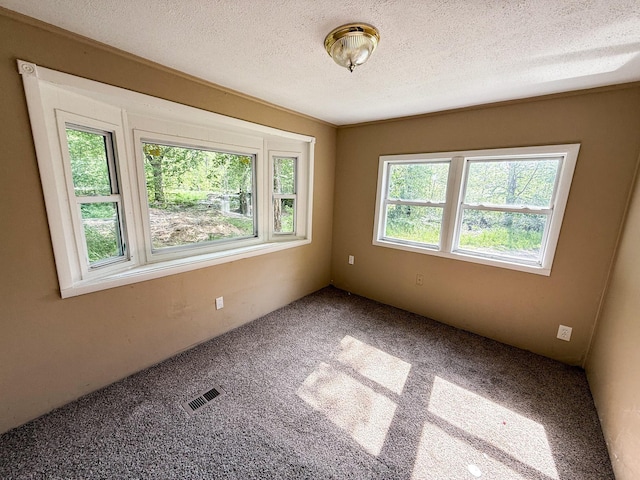 7671 S 27th Rd, Cadillac, MI 49601 - empty room with carpet floors and a textured ceiling