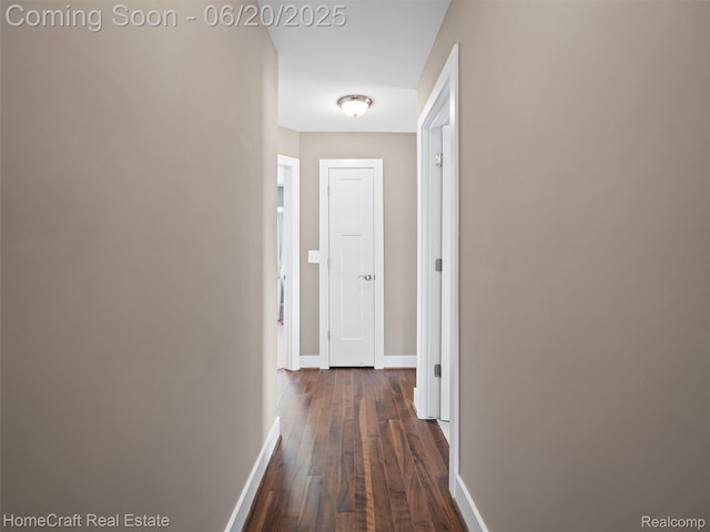 2213 Beverly Blvd, Berkley, MI 48072 - hall with baseboards and dark wood-style floors