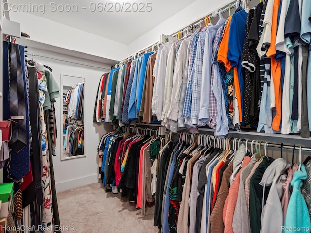 2213 Beverly Blvd, Berkley, MI 48072 - walk in closet with carpet flooring